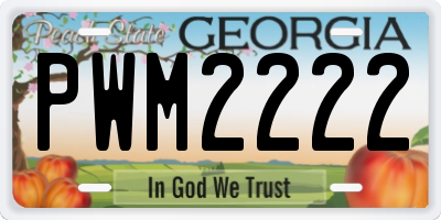 GA license plate PWM2222