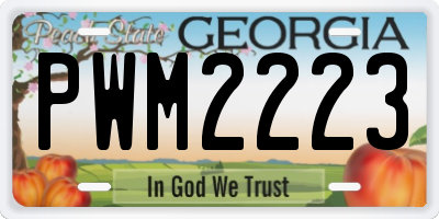GA license plate PWM2223