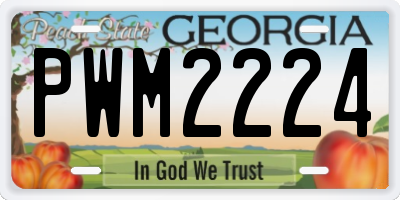 GA license plate PWM2224