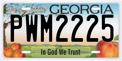 GA license plate PWM2225