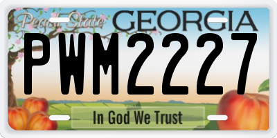 GA license plate PWM2227