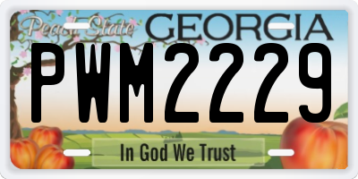 GA license plate PWM2229