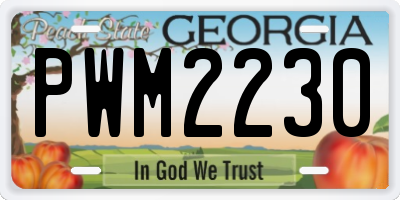 GA license plate PWM2230