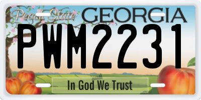 GA license plate PWM2231