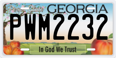 GA license plate PWM2232