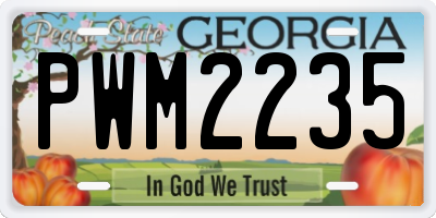 GA license plate PWM2235