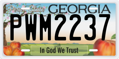 GA license plate PWM2237