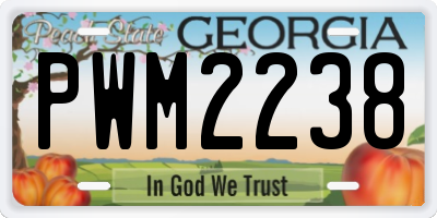 GA license plate PWM2238