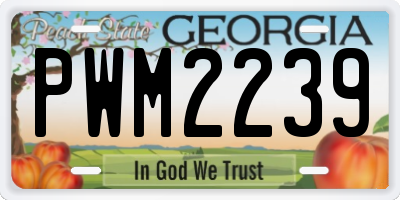 GA license plate PWM2239