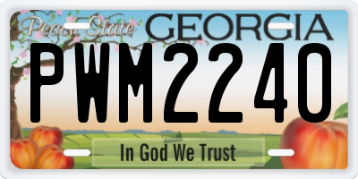 GA license plate PWM2240