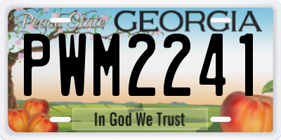 GA license plate PWM2241