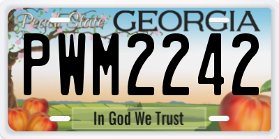 GA license plate PWM2242
