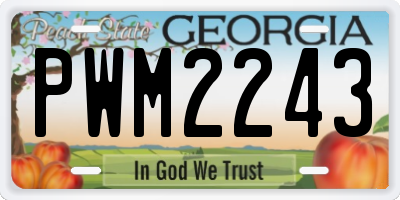 GA license plate PWM2243