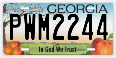 GA license plate PWM2244