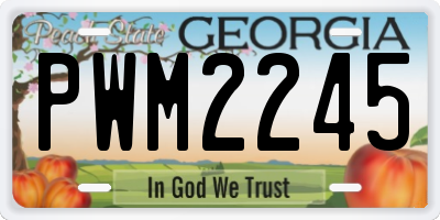 GA license plate PWM2245