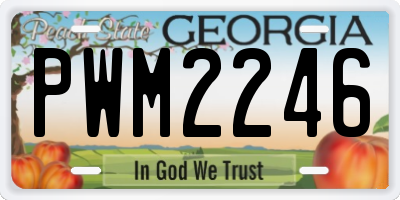 GA license plate PWM2246