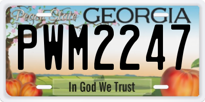 GA license plate PWM2247