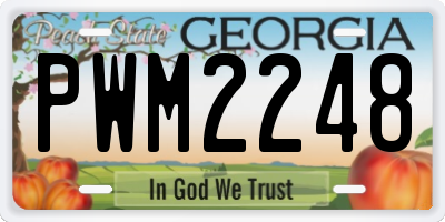 GA license plate PWM2248