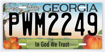 GA license plate PWM2249