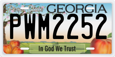 GA license plate PWM2252