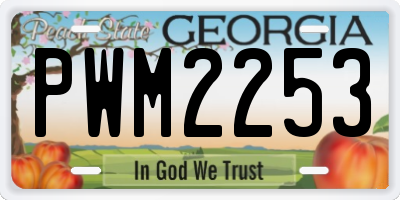 GA license plate PWM2253