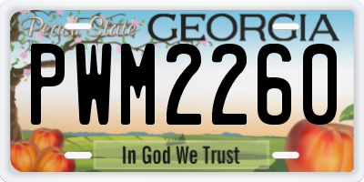 GA license plate PWM2260