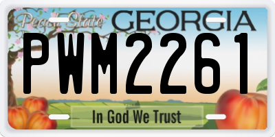 GA license plate PWM2261
