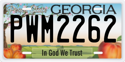 GA license plate PWM2262