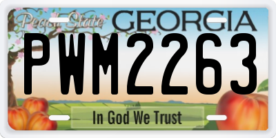 GA license plate PWM2263