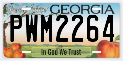 GA license plate PWM2264