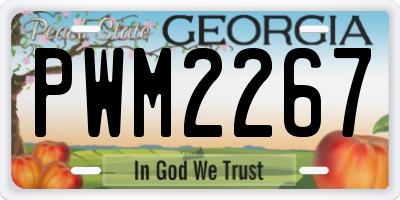 GA license plate PWM2267
