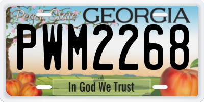 GA license plate PWM2268