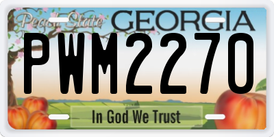 GA license plate PWM2270