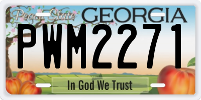 GA license plate PWM2271