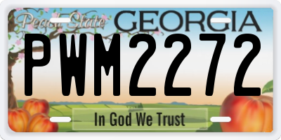 GA license plate PWM2272
