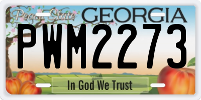GA license plate PWM2273