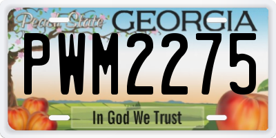 GA license plate PWM2275