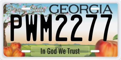 GA license plate PWM2277