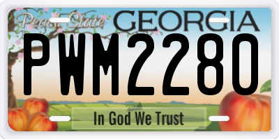 GA license plate PWM2280