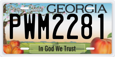 GA license plate PWM2281