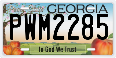 GA license plate PWM2285