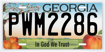GA license plate PWM2286