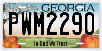 GA license plate PWM2290
