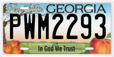 GA license plate PWM2293