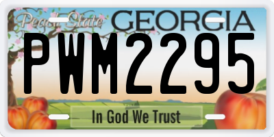 GA license plate PWM2295