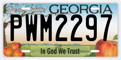 GA license plate PWM2297