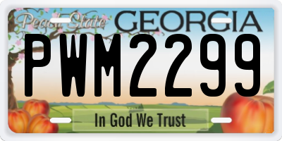 GA license plate PWM2299