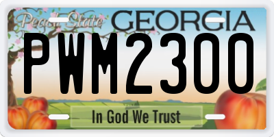 GA license plate PWM2300