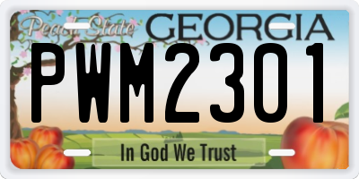 GA license plate PWM2301