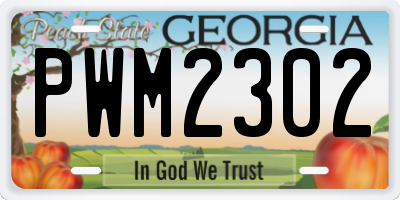 GA license plate PWM2302